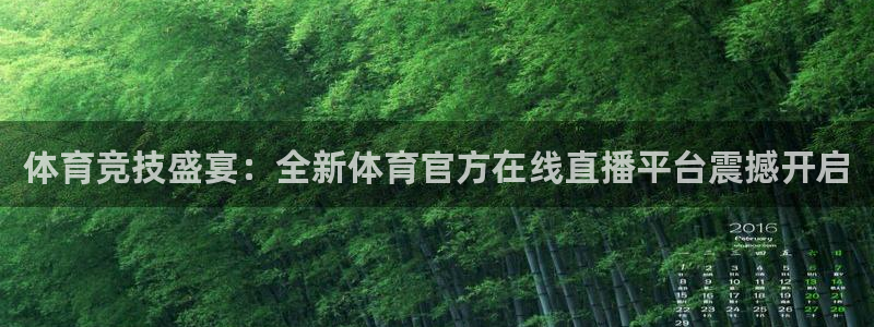 体育新闻