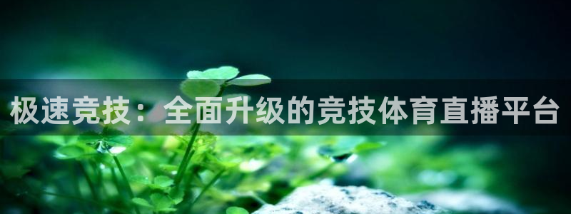咪咕体育是哪个公司的