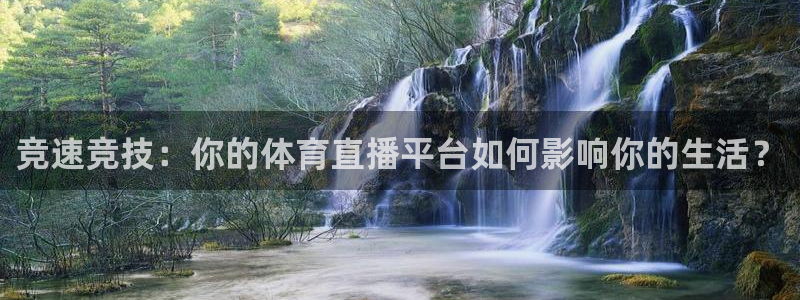 体育新闻