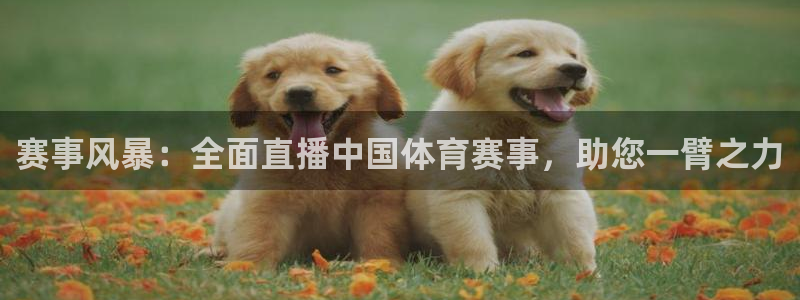 咪咕体育网页版入口