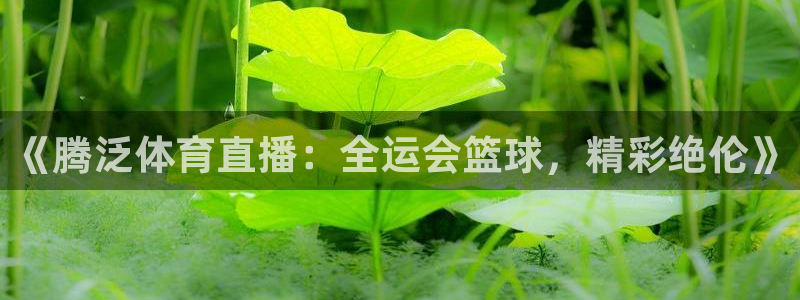 咪咕体育直播免费观看
