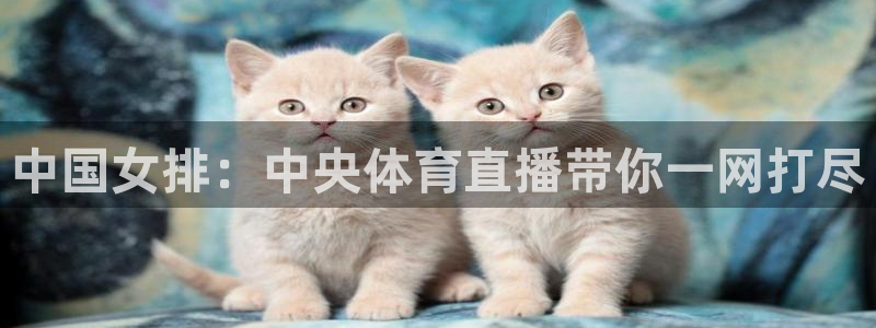 咪咕体育视频直播官网