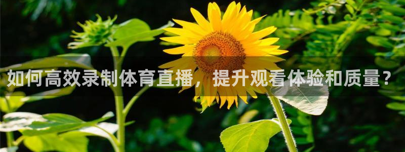 咪咕体育客服电话