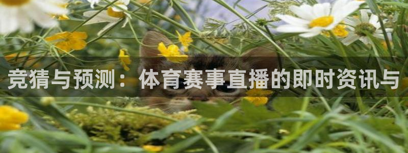 下载咪咕体育直播