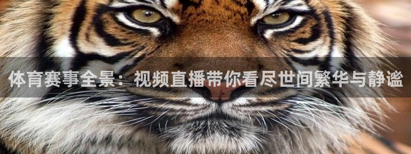 咪咕体育在线观看