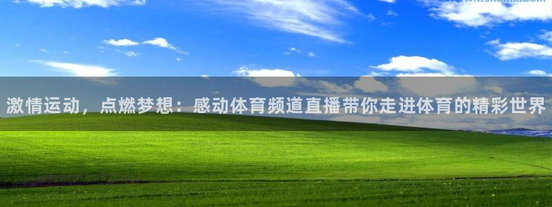 咪咕体育是哪个公司的