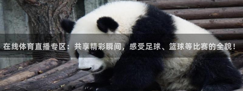 咪咕体育app下载