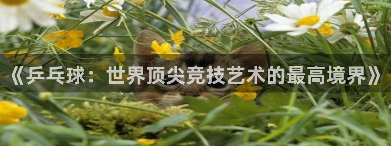 咪咕体育在线观看免费