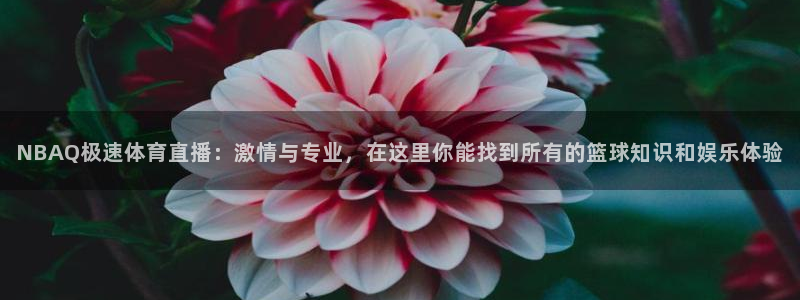 下载咪咕体育直播