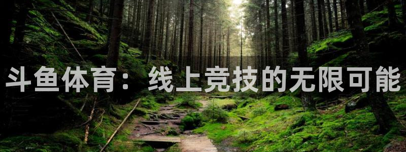 咪咕体育在线观看免费