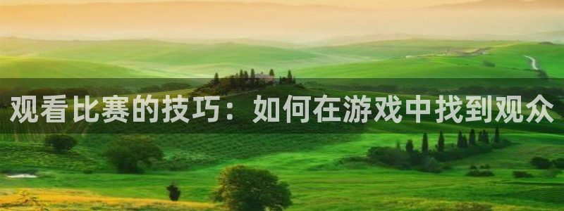 咪咕体育网页版入口