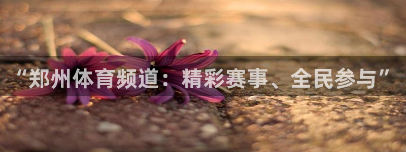 咪咕体育网页版入口